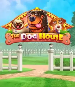 Pragmatic Play's The Dog House, offering a fun-filled experience into the world of playful pups. Discover gameplay elements including sticky wilds, perfect for delivering exciting wins. Perfect for pet lovers a cheerful theme with a chance for big wins.